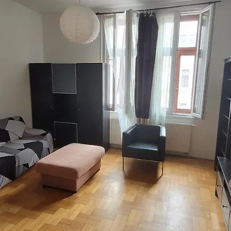 Cozy Downtown Apartment